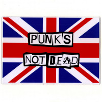 Обложка на паспорт Punk's not dead. PAS100