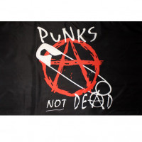Флаг Punk's Not Dead ФЛГ235